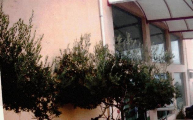 appartamento in vendita a Grammichele
