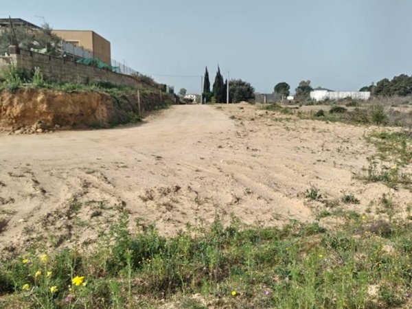 terreno agricolo in vendita a Grammichele