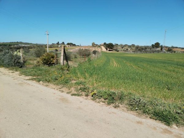 terreno agricolo in vendita a Grammichele