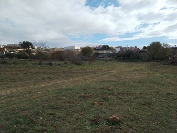 terreno agricolo in vendita a Grammichele