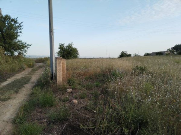 terreno agricolo in vendita a Grammichele