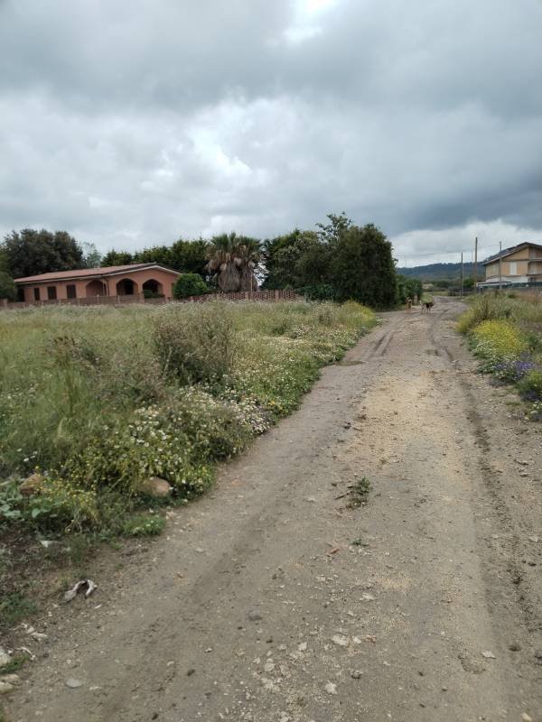 terreno agricolo in vendita a Grammichele