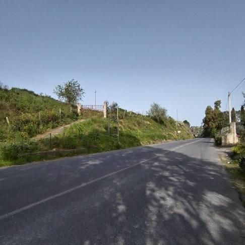 terreno agricolo in vendita a Grammichele