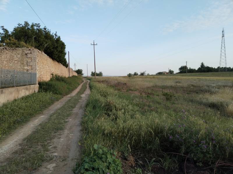 terreno agricolo in vendita a Grammichele