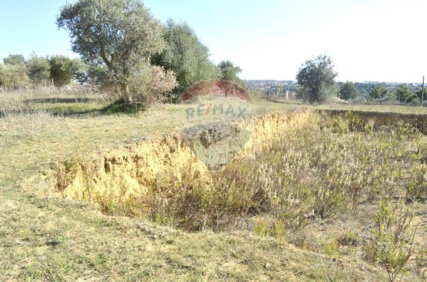 terreno agricolo in vendita a Grammichele