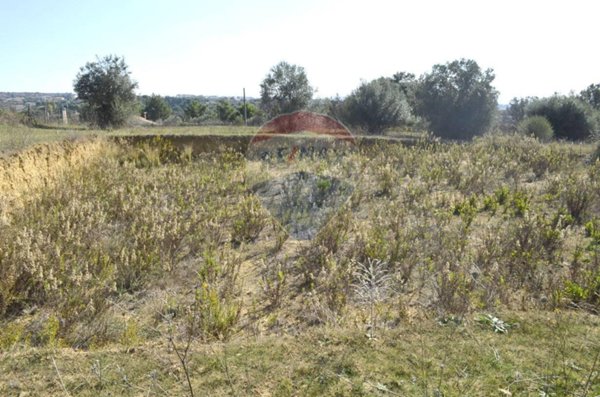 terreno agricolo in vendita a Grammichele