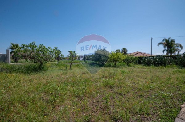 terreno agricolo in vendita a Grammichele
