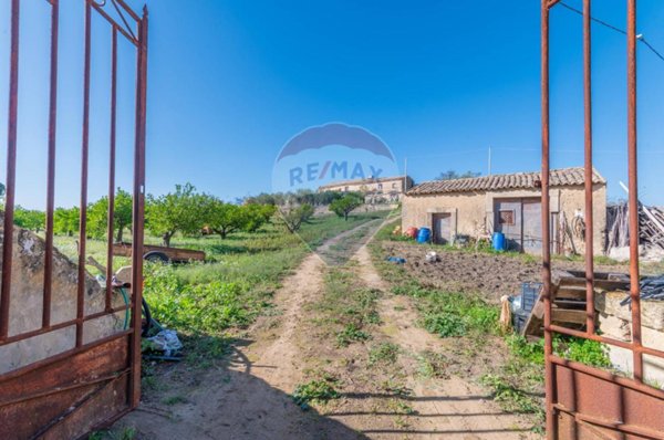 casa indipendente in vendita a Grammichele