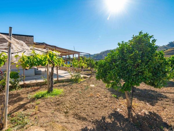casa indipendente in vendita a Grammichele