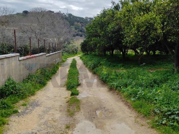 terreno agricolo in vendita a Grammichele