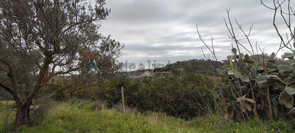 casa indipendente in vendita a Grammichele