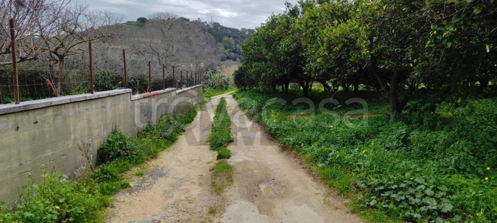 casa indipendente in vendita a Grammichele