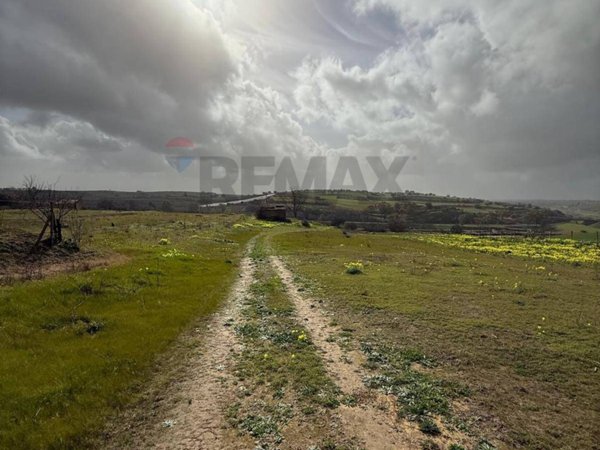 terreno agricolo in vendita a Grammichele