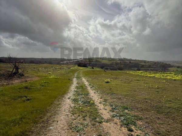 terreno agricolo in vendita a Grammichele