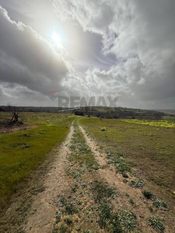 terreno agricolo in vendita a Grammichele
