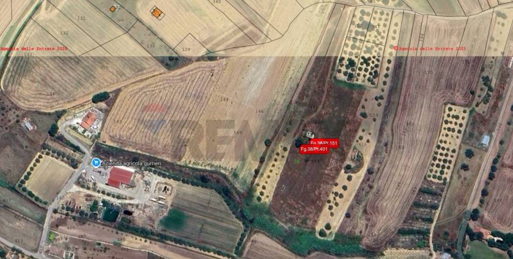 terreno agricolo in vendita a Grammichele