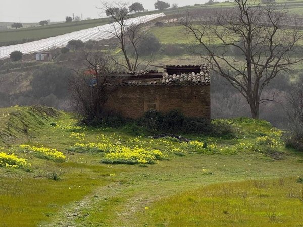 rudere in vendita a Grammichele