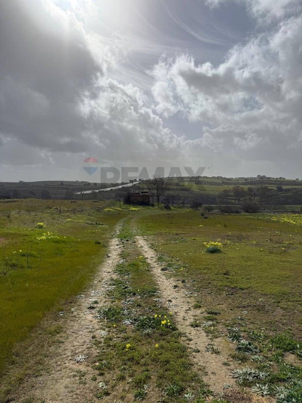 terreno agricolo in vendita a Grammichele