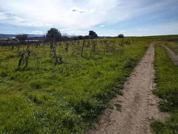 terreno agricolo in vendita a Grammichele