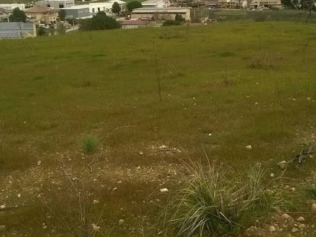 terreno agricolo in vendita a Grammichele