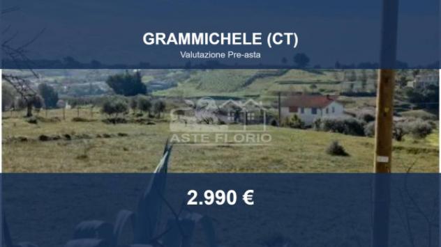 terreno agricolo in vendita a Grammichele