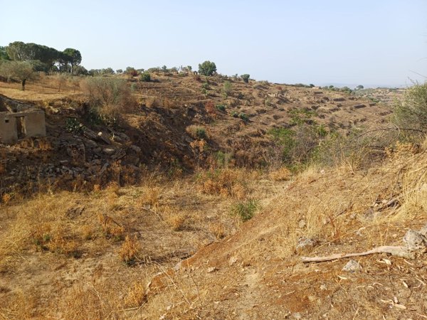 terreno agricolo in vendita a Grammichele