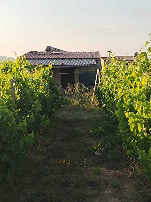 casa indipendente in vendita a Grammichele