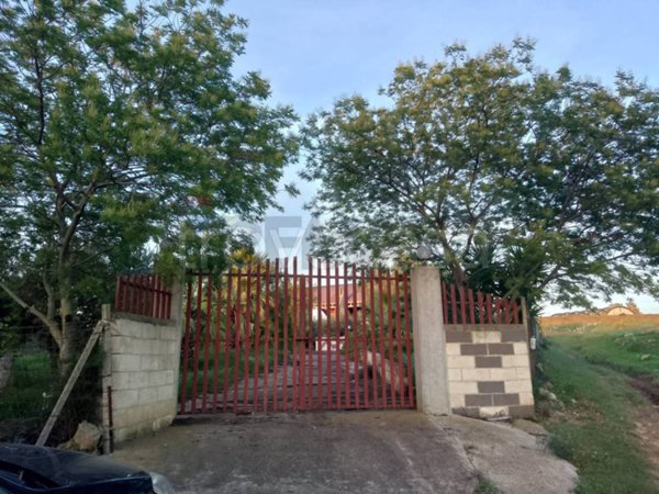 terreno agricolo in vendita a Grammichele