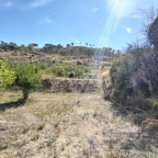 terreno agricolo in vendita a Grammichele
