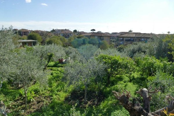 terreno agricolo in vendita a Gravina di Catania
