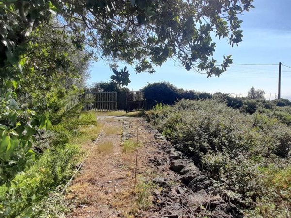 terreno agricolo in vendita a Gravina di Catania