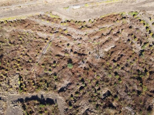 terreno agricolo in vendita a Gravina di Catania