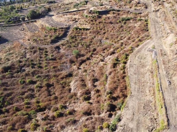 terreno agricolo in vendita a Gravina di Catania