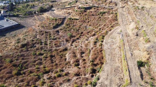 terreno agricolo in vendita a Gravina di Catania
