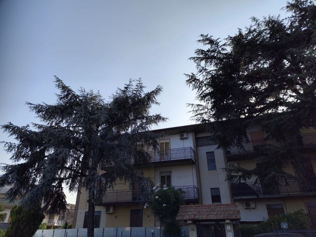 appartamento in vendita a Gravina di Catania
