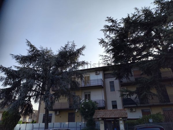 appartamento in vendita a Gravina di Catania