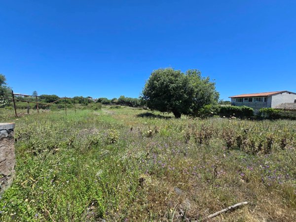 terreno agricolo in vendita a Gravina di Catania