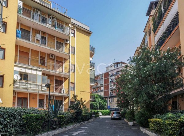 appartamento in vendita a Gravina di Catania