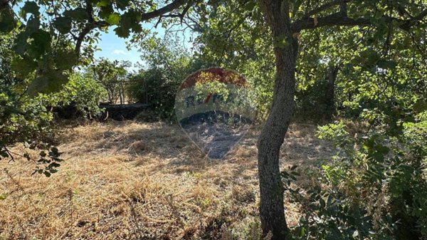 terreno agricolo in vendita a Gravina di Catania