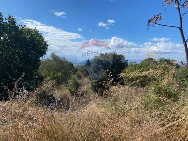 terreno agricolo in vendita a Gravina di Catania