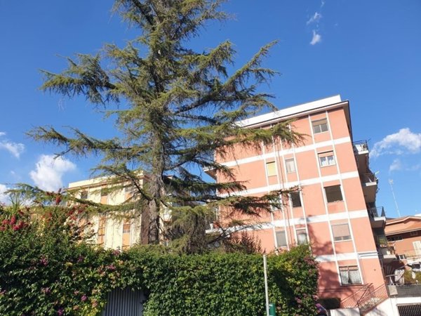 appartamento in vendita a Gravina di Catania