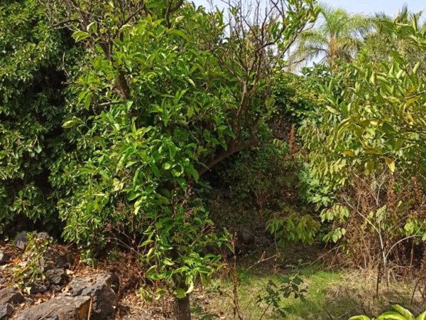 casa indipendente in vendita a Gravina di Catania