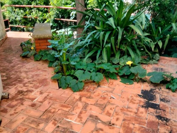 appartamento in vendita a Gravina di Catania