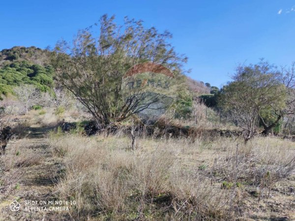 casa indipendente in vendita a Gravina di Catania