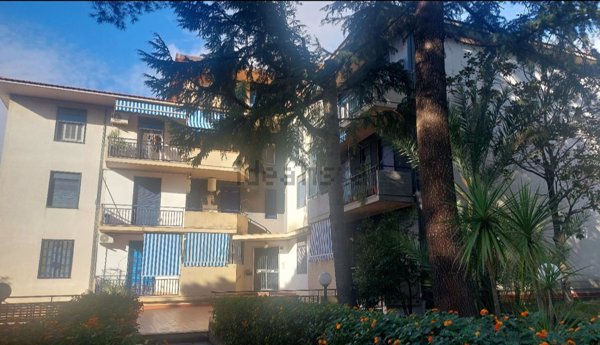 appartamento in vendita a Gravina di Catania