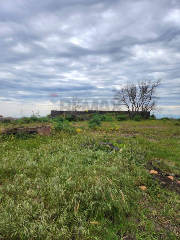terreno agricolo in vendita a Gravina di Catania
