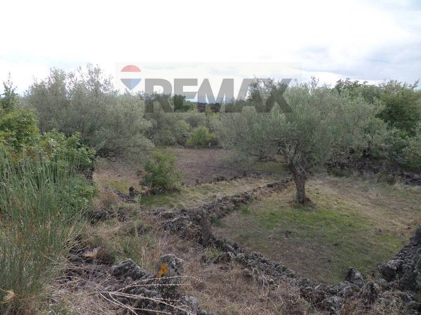 terreno agricolo in vendita a Gravina di Catania
