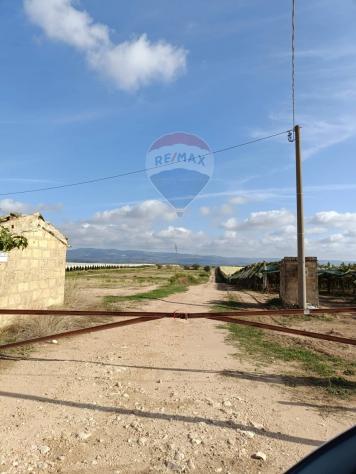 terreno agricolo in vendita a Licodia Eubea
