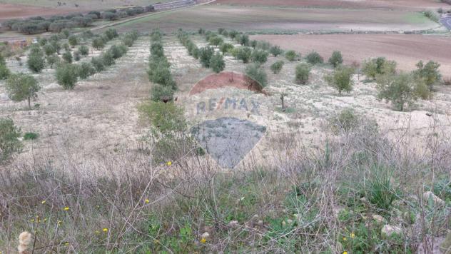 terreno agricolo in vendita a Licodia Eubea