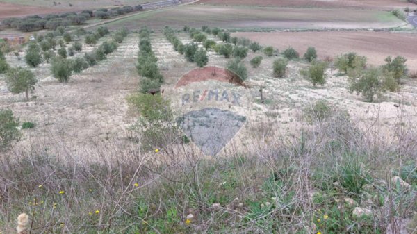 terreno agricolo in vendita a Licodia Eubea